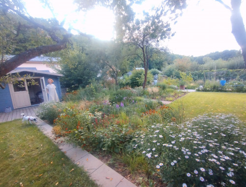 Záhrada pod lesom 1