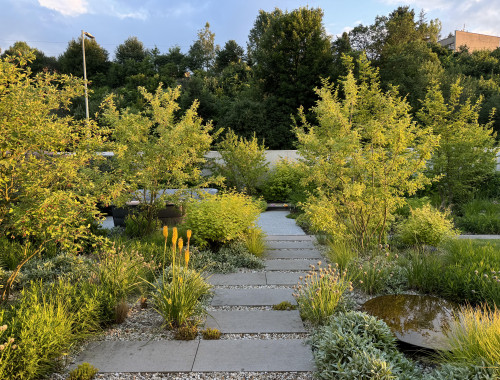 Záhrada v novej zástavbe 1