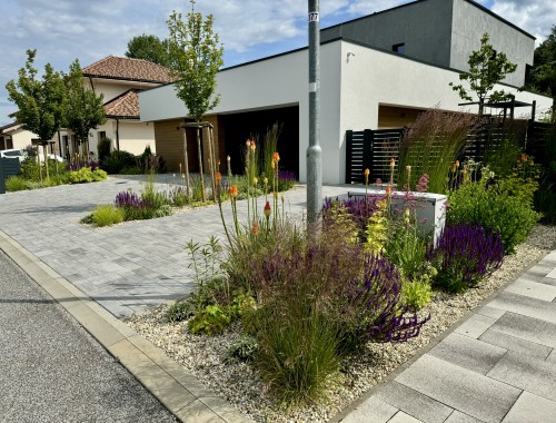 Záhrada v novej zástavbe 2