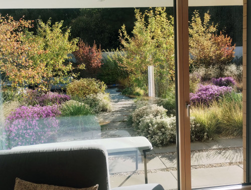 Záhrada v novej zástavbe 3