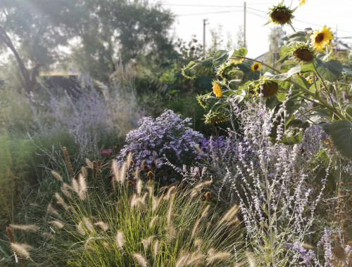 Záhrada so psíkom 3