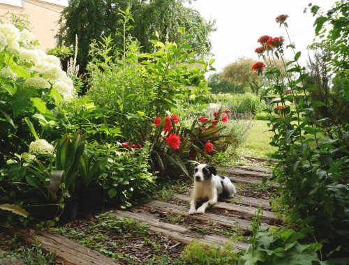 Záhrada so zákutiami