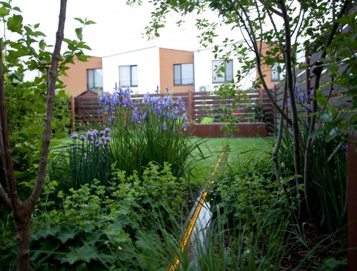 Malá lesná záhradka